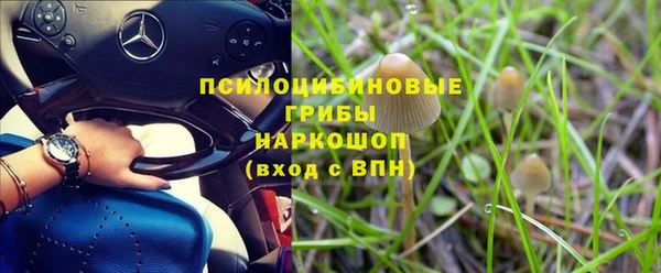 экстази Алзамай