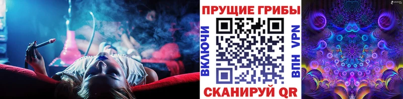 Галлюциногенные грибы ЛСД  дарк нет официальный сайт  Алексеевка 